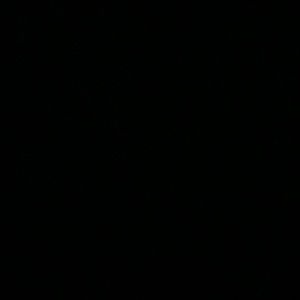 Meet your Posher, Alisha